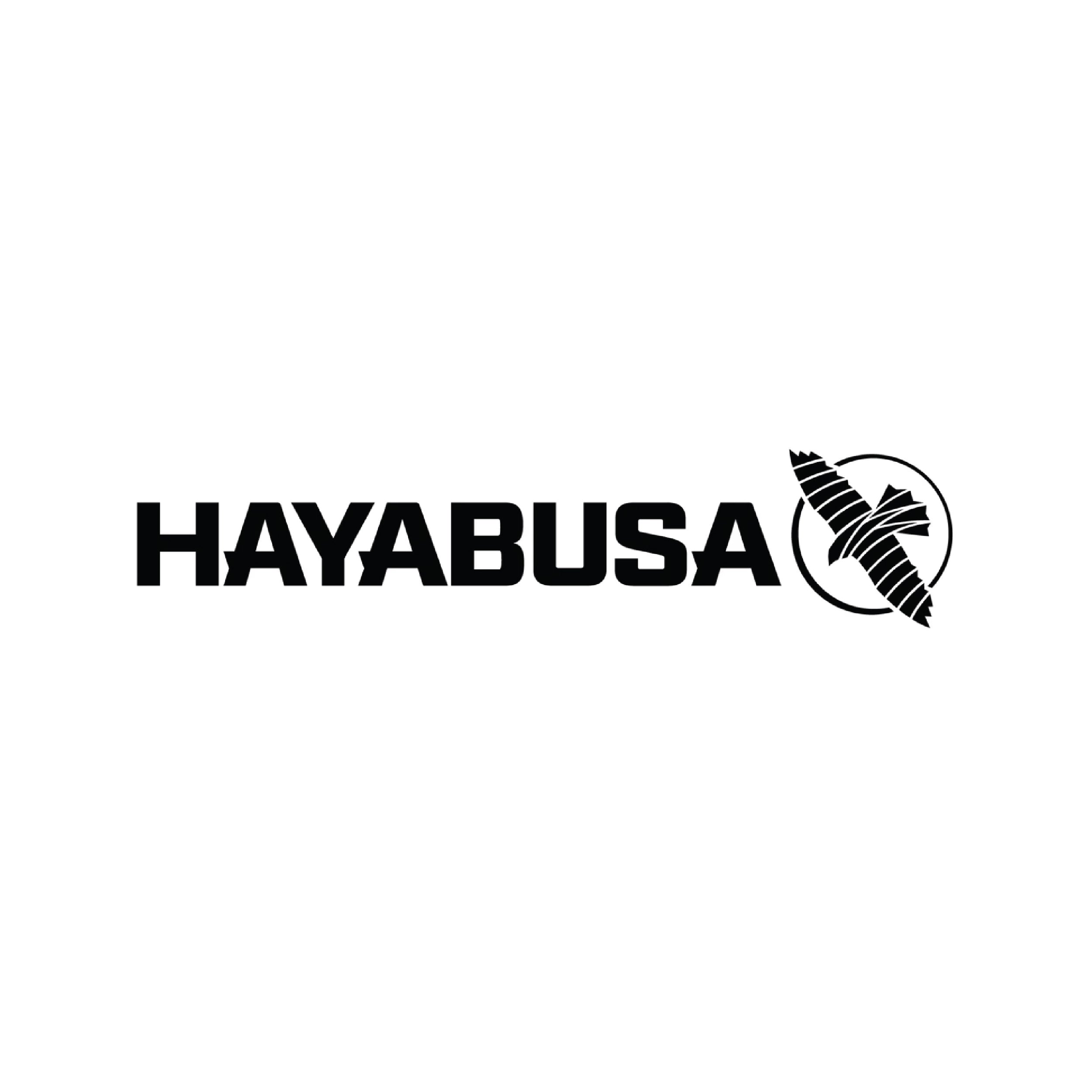 Haybusa