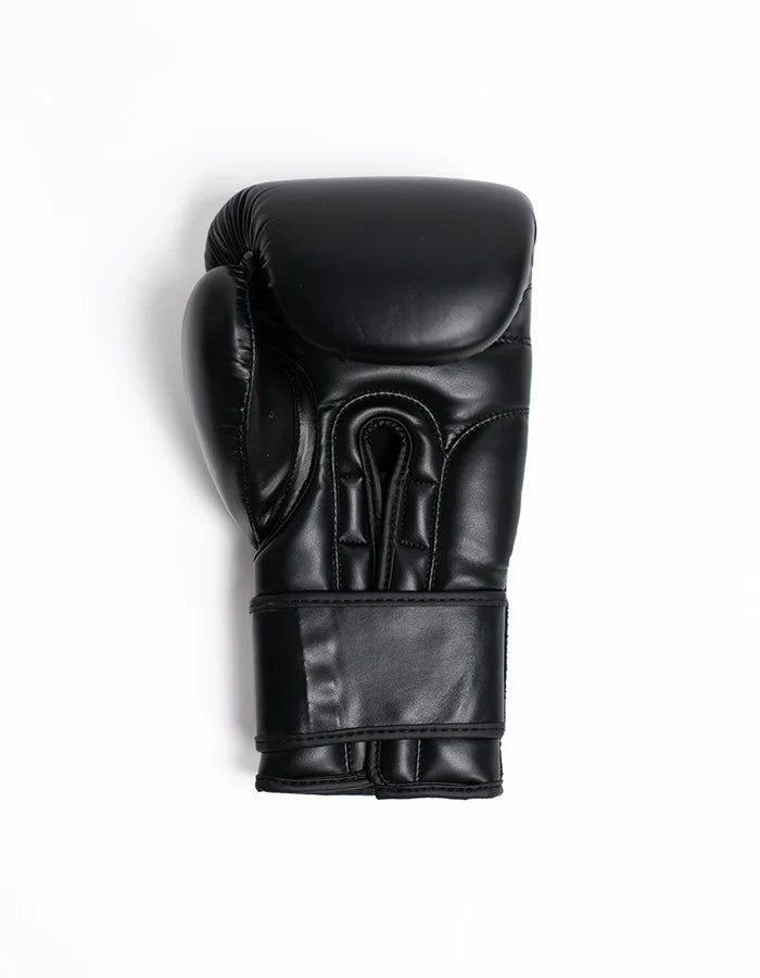 SUPERARE FINISHER BOXING GLOVES